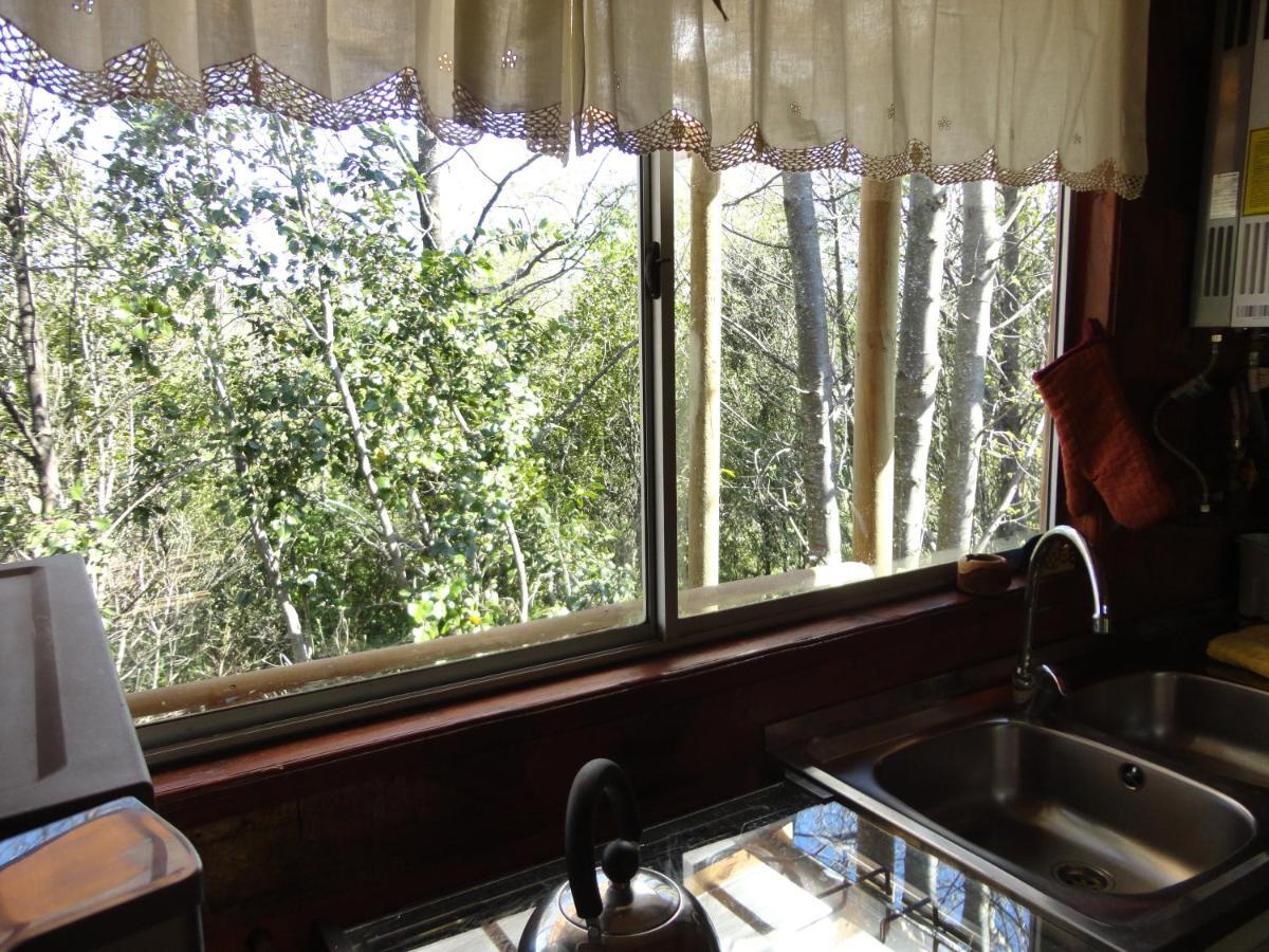 Cabanas Spa Bungalows Huarranchi Pucón Kültér fotó